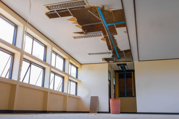 Best Ceiling water damage repair  in Sheffield Lake, OH