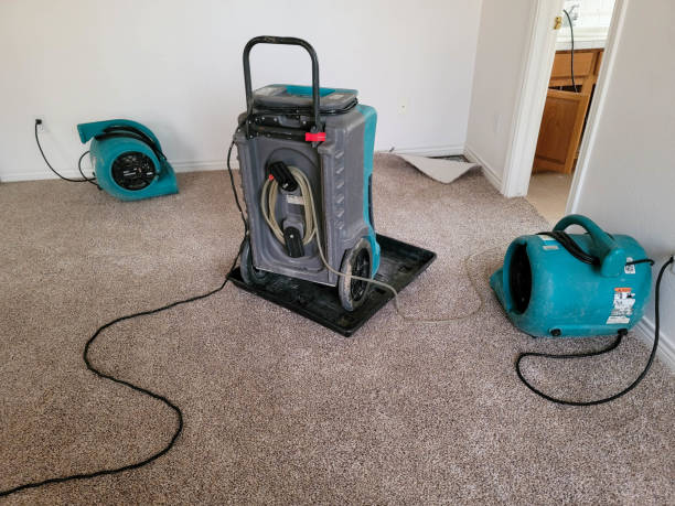 Best Water damage contractors near me  in Sheffield Lake, OH
