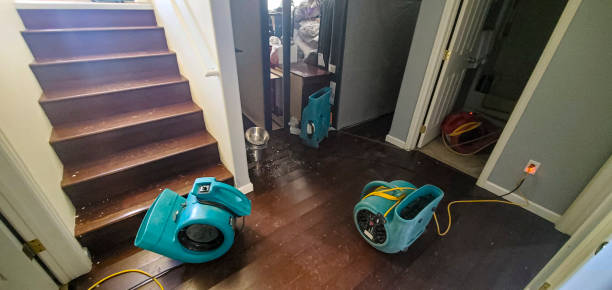Best Carpet water damage restoration  in Sheffield Lake, OH