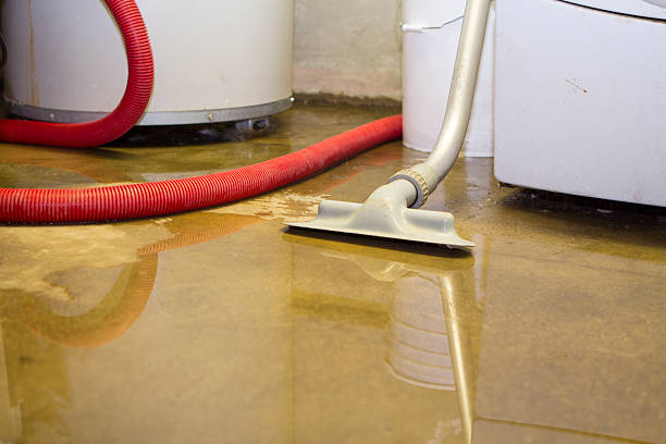 Best Water damage cleanup near me  in Sheffield Lake, OH