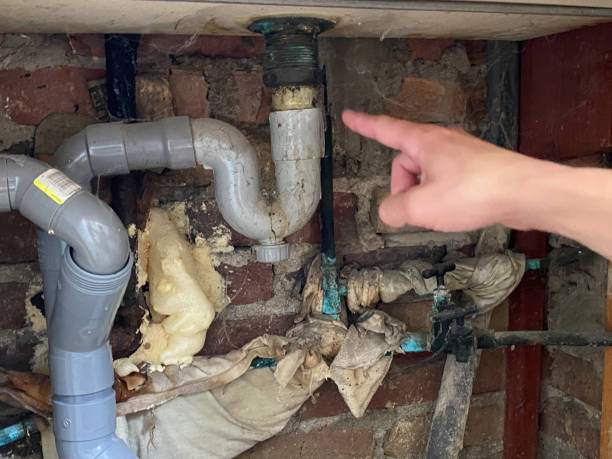Best Commercial water damage restoration  in Sheffield Lake, OH
